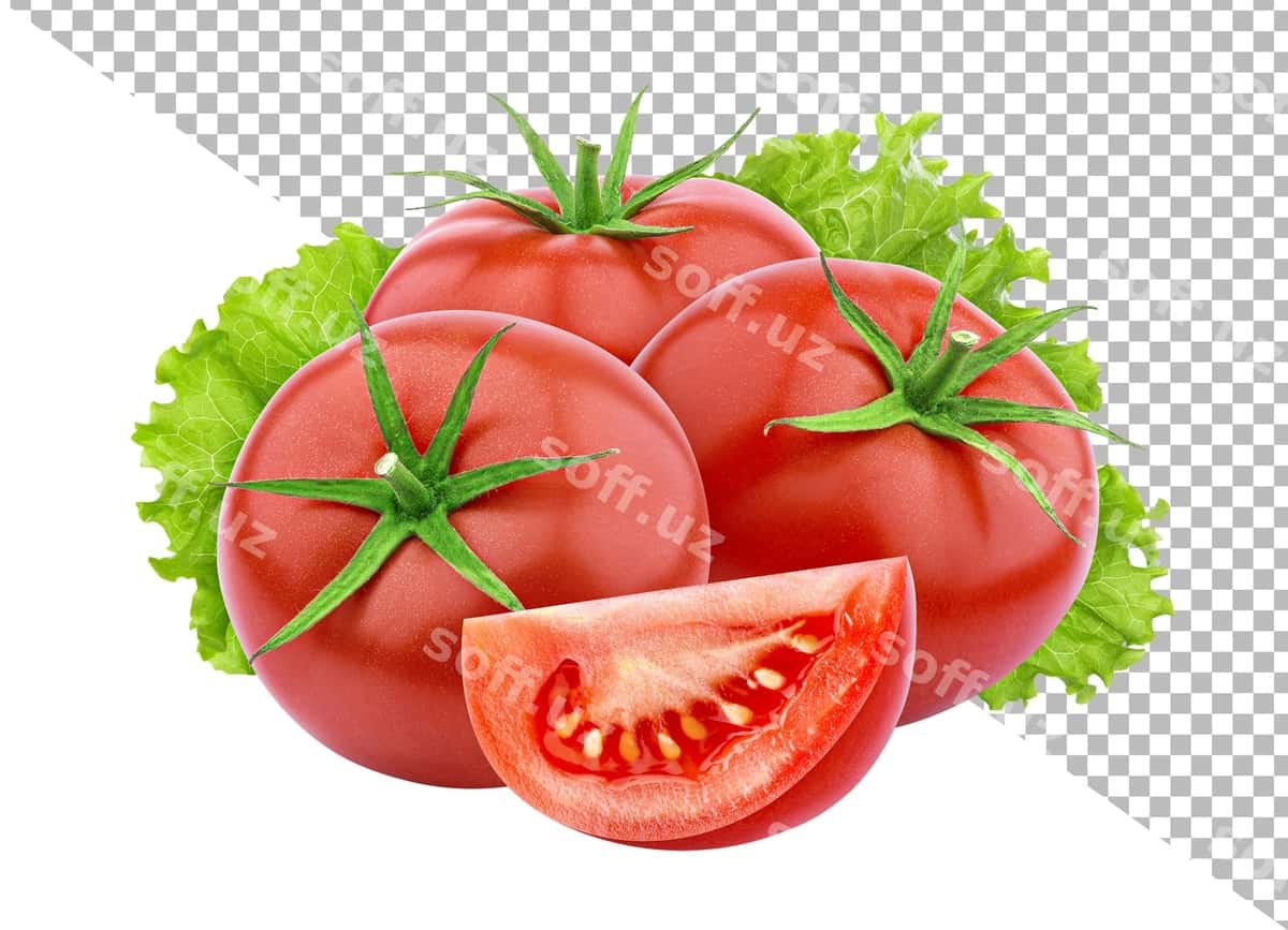 Pomidorlar oq fonda ajraltirilgan | Tomatoes isolated white background 1