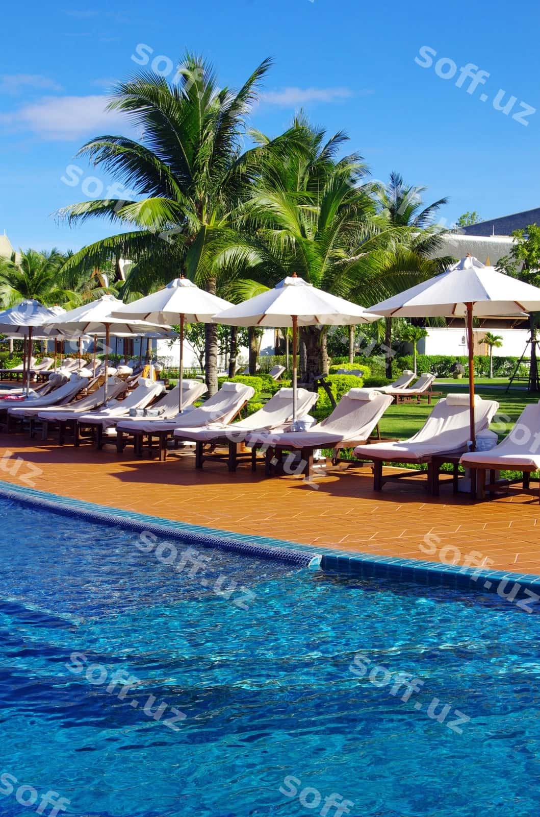 Tropik hovuz | Tropical swimming pool 1