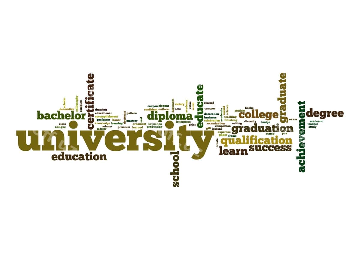 Universitet so'z bulutu | University word cloud 1
