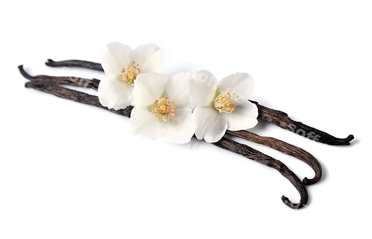 Vanil paloçkalari gullarning oq qismlari bilan | Vanilla sticks with flowers whites 1