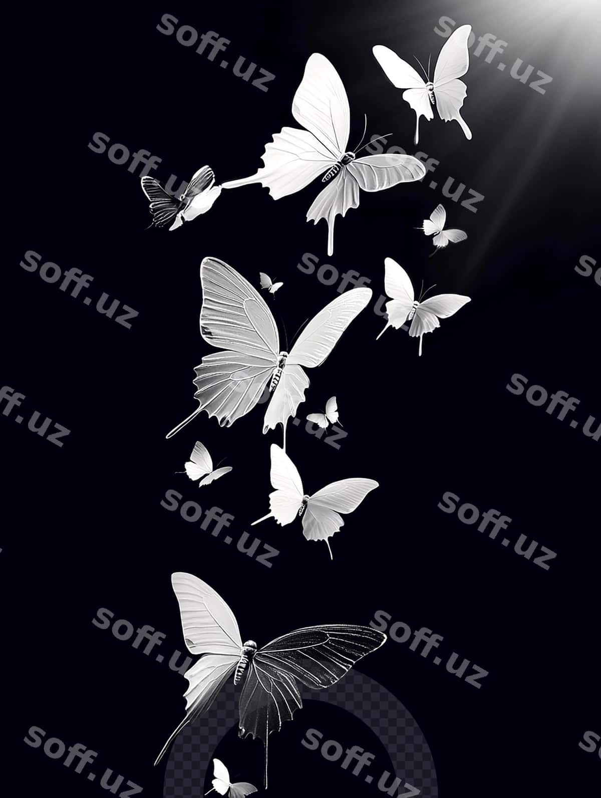 Oq parasutlar parvozi | White butterflies flight 1