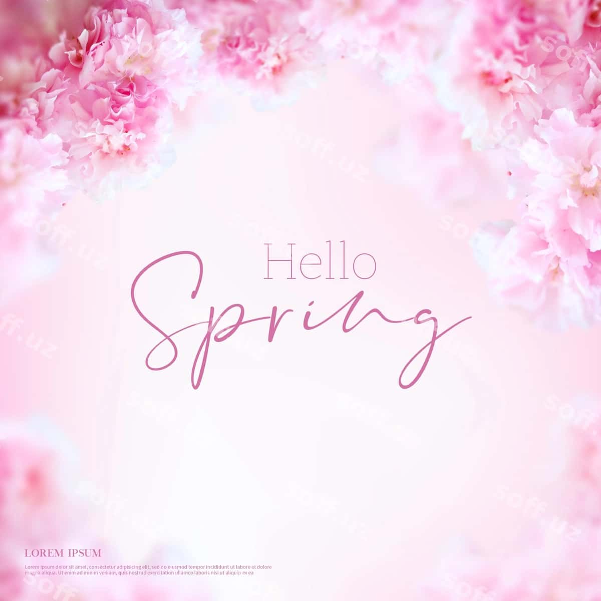 Oq ramka salom bahor banner | White frame hello spring banner 1