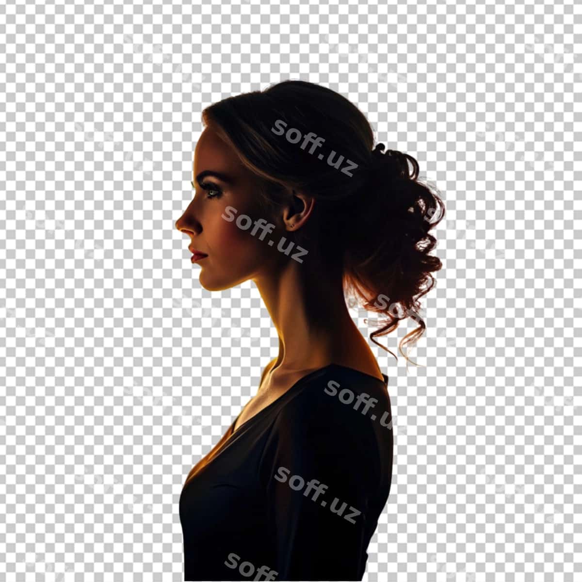 Ayollar ayollik silueti | Women female silhouette 1