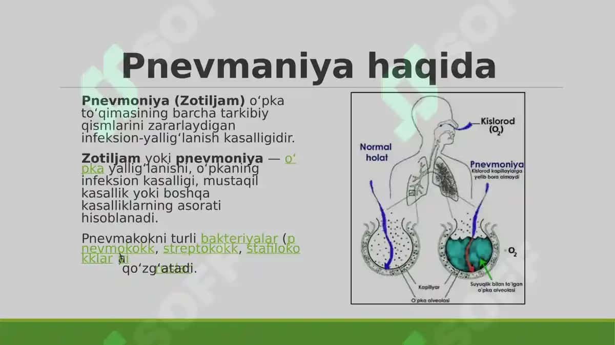 Pnevmoniya kasalligida gospital pedagogika 3