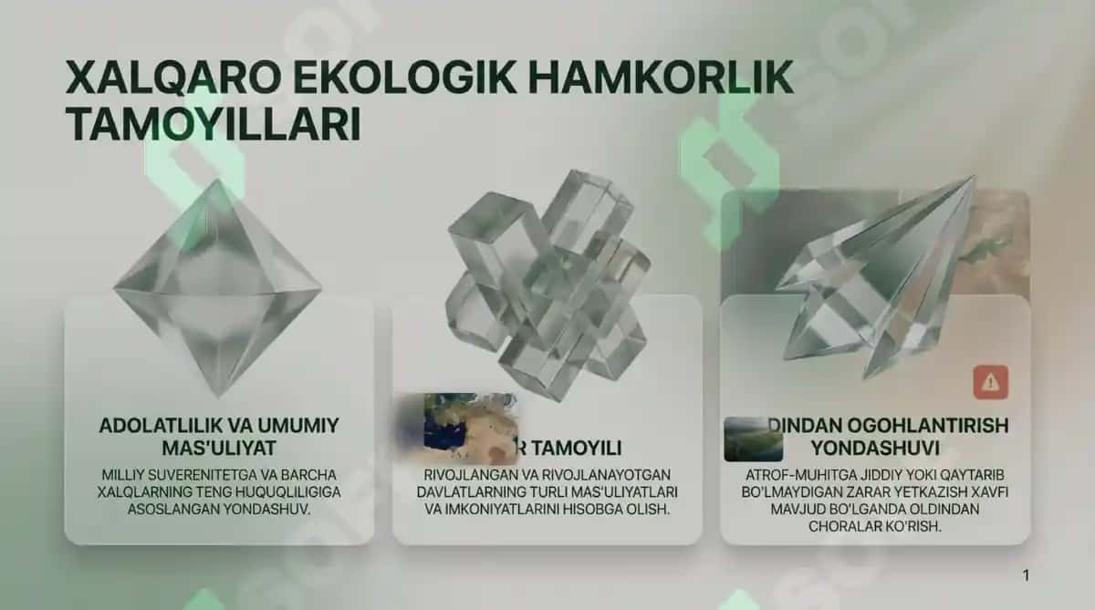 Unknown Presentation File 2