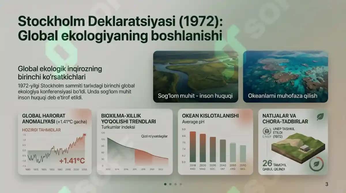 Unknown Presentation File 3