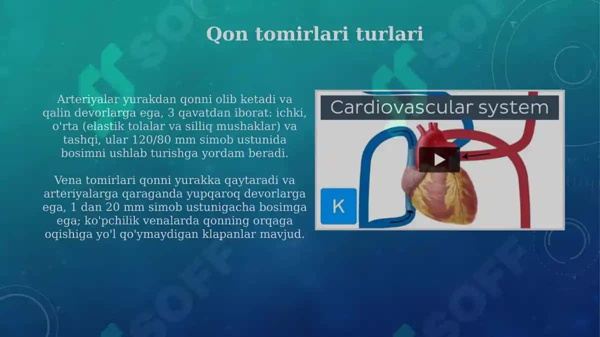 Yurak va qon aylanish doiralari 5