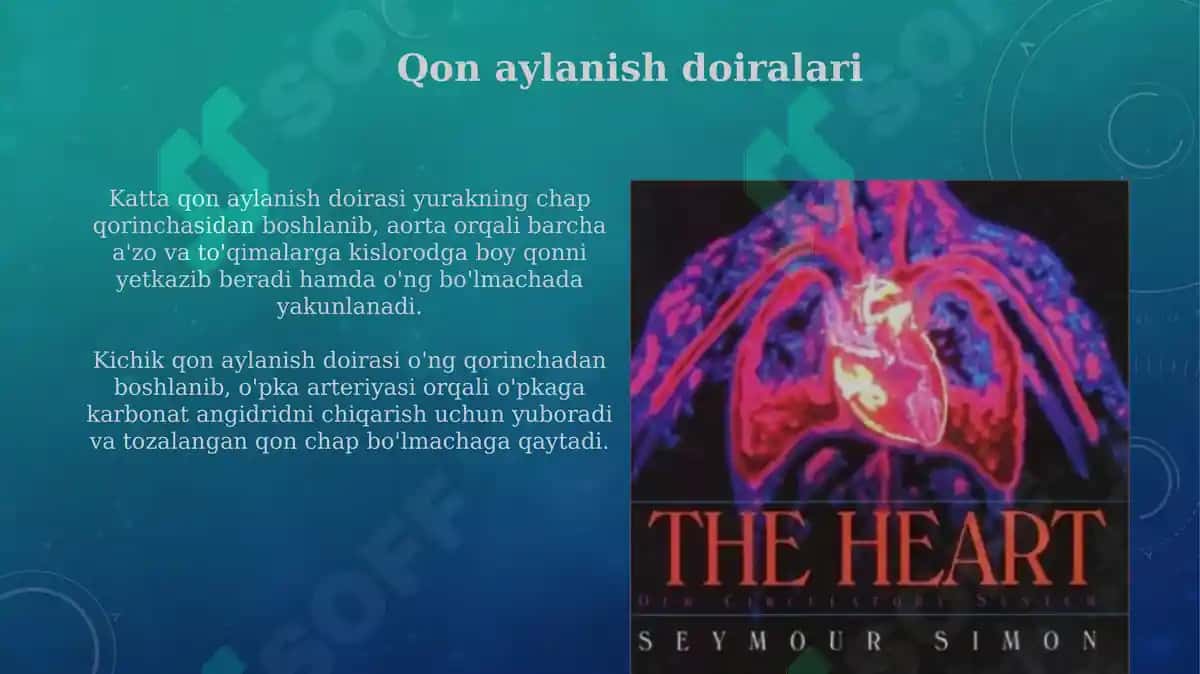 Yurak va qon aylanish doiralari 6