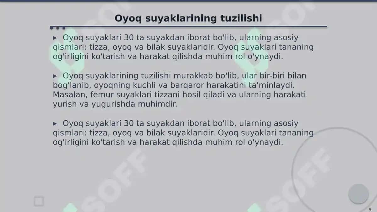 Inson Suyaklari Tuzilishi: Gavda, Qo'l, Oyoq va Bosh 5