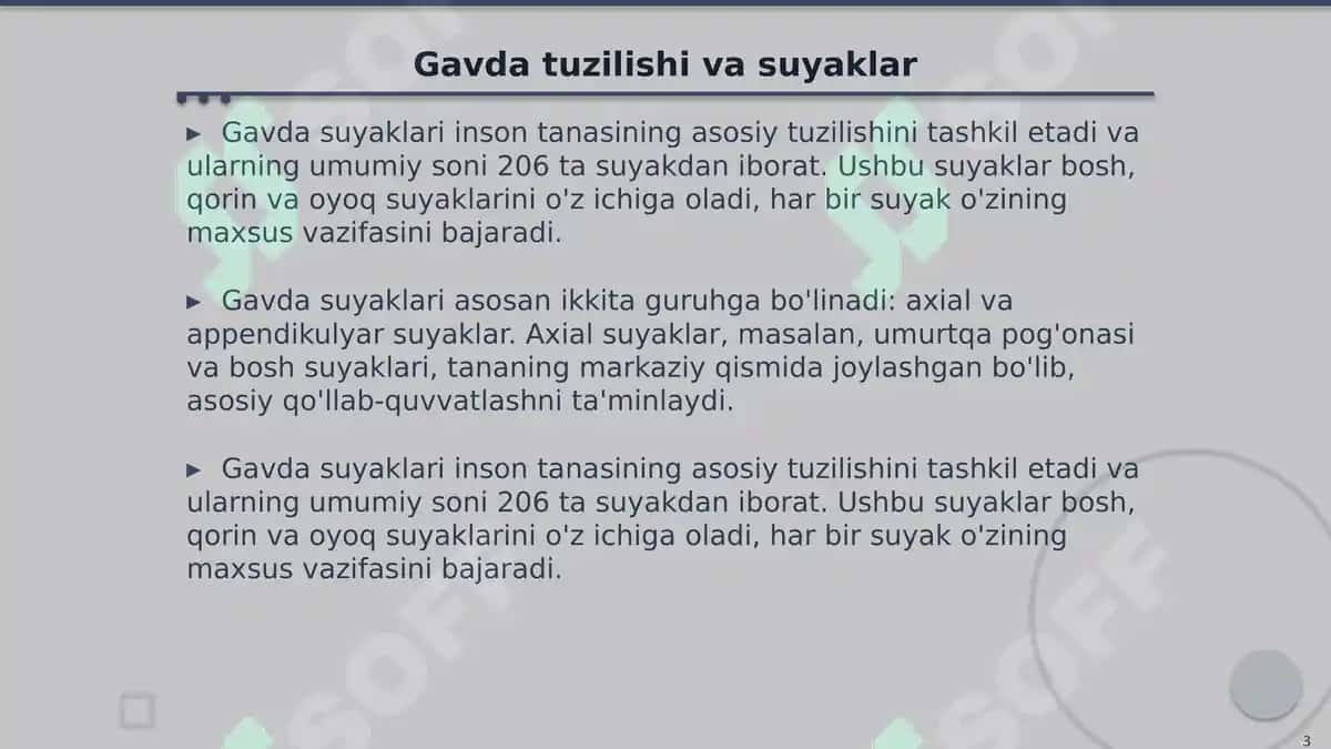 Inson Suyaklari Tuzilishi: Gavda, Qo'l, Oyoq va Bosh 3
