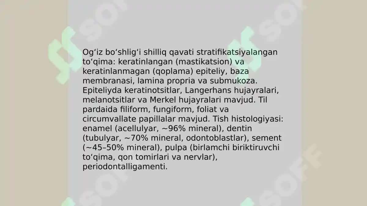 Ovqat hazm qilish gistologiyasi 4