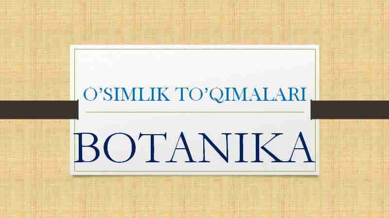 O’SIMLIK TO’QIMALARI