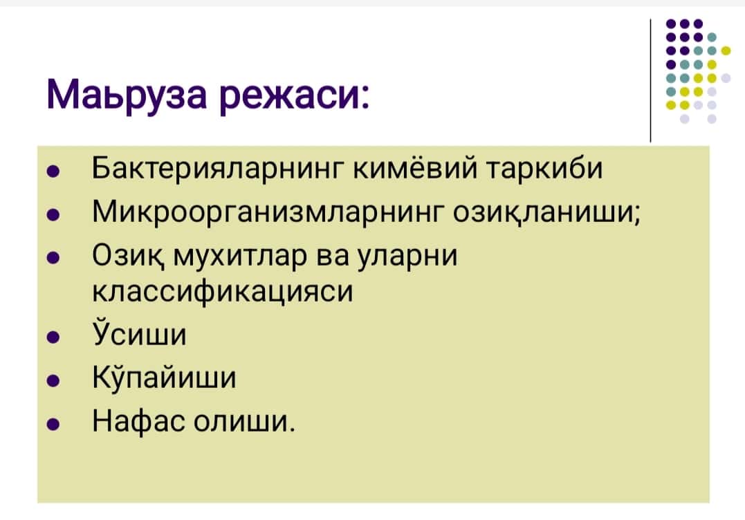 Бактерияларнинг физиологияси. Нафас олиши, озикланиши, кўпайиши. Озиқ мухитлар.