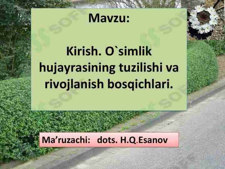 Oʻsimlik hujayrasining tuzilishi va rivojlanish bosqichlari
