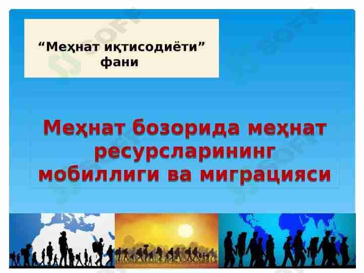 Mehnat bozorida mehnat resurslarining mobilligi va migratsiyasi