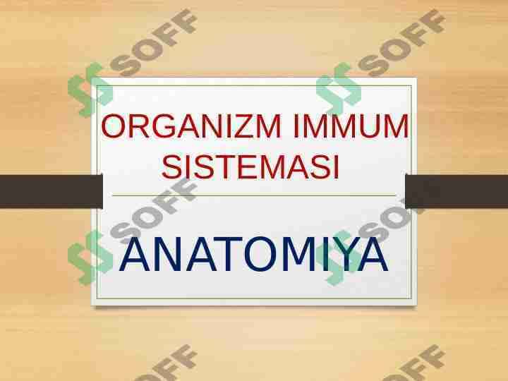 ORGANIZM IMMUM SISTEMASI