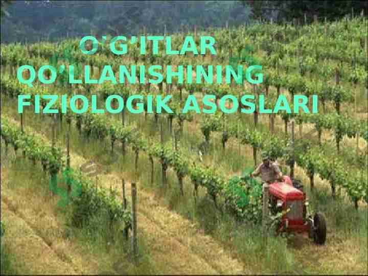 O’g’itlar qo’llanishining fiziologik asoslari
