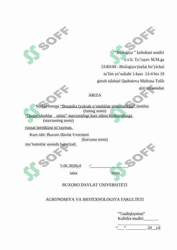Qoqioʻtdoshlar oilasi botanika kurs ishi
