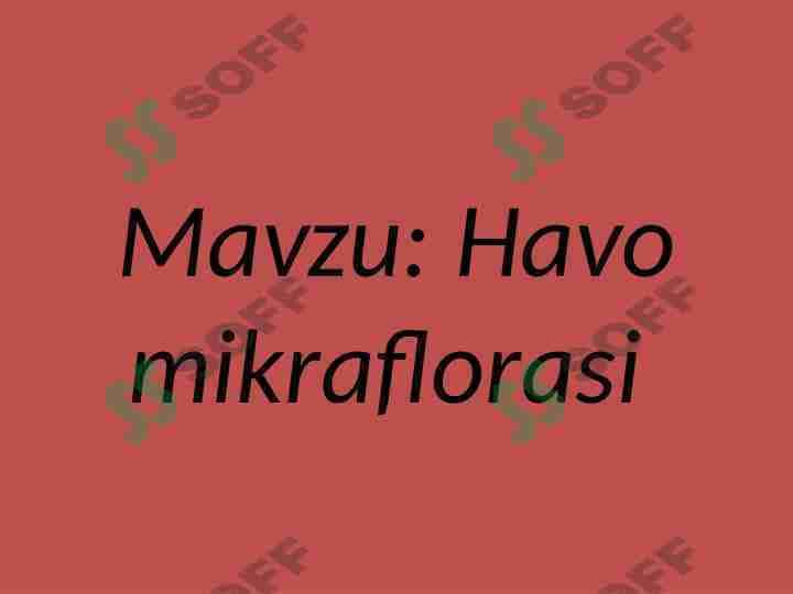 Havo mikraflorasi