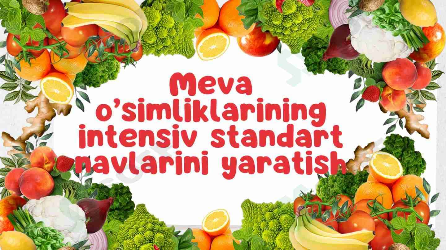 Mevalarning intensiv standard navlarini yaratish