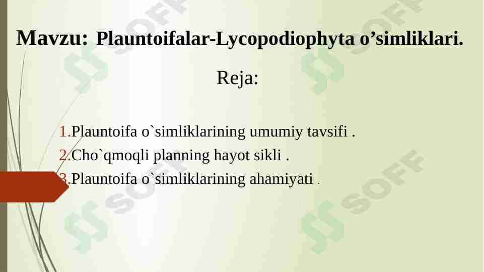 Plauntoifalilar sinfi