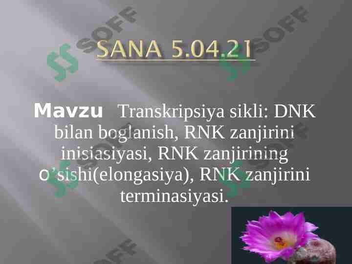 Transkripsiya sikli.DNK RNK BILAN BOGʻLANISHI