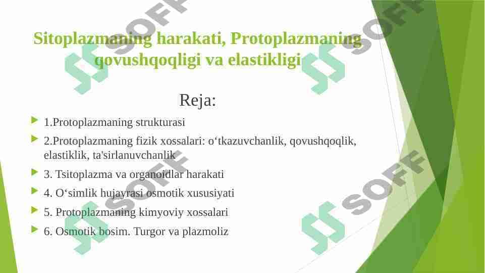 Sitoplazma uning zamonaviy modeli  vakuola,plastida,mitoxondriya,Ribosoma,peroksisoma,Lizosoma,endoplazmatik tor Golji apparati