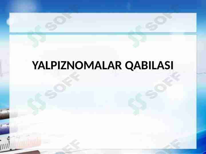 Yalpiznamolar qabilasi