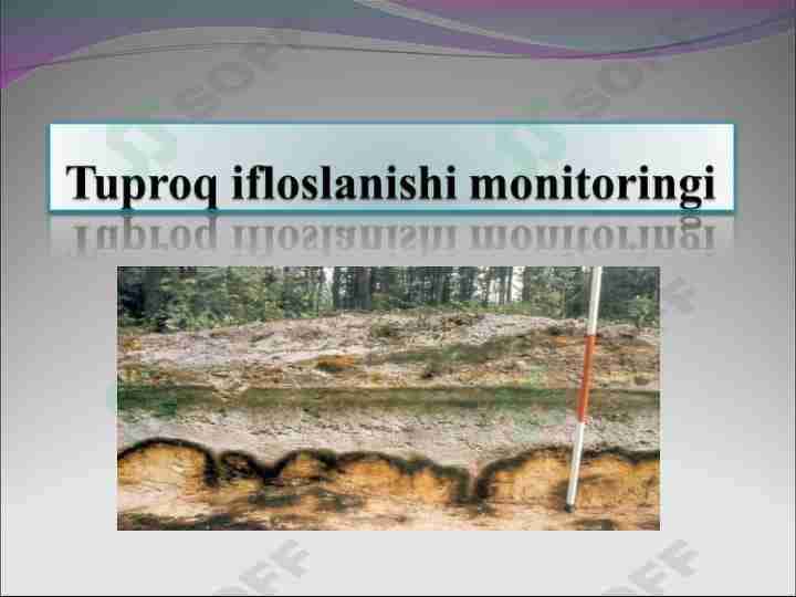 Tuproq ifloslanishi monitoringi