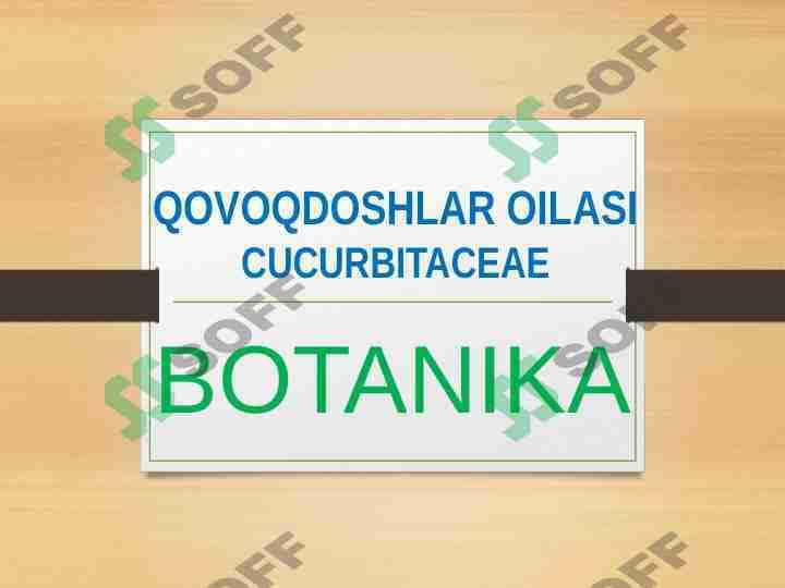 QOVOQDOSHLAR OILASI CUCURBITACEAE