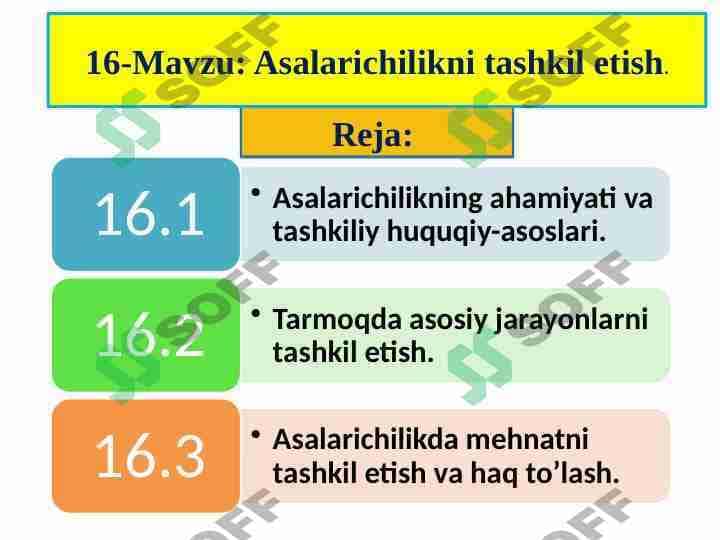 ASALARICHILIKNI TASHKIL ETISH