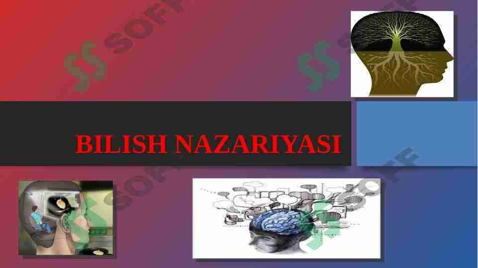 Bilish nazariyasi