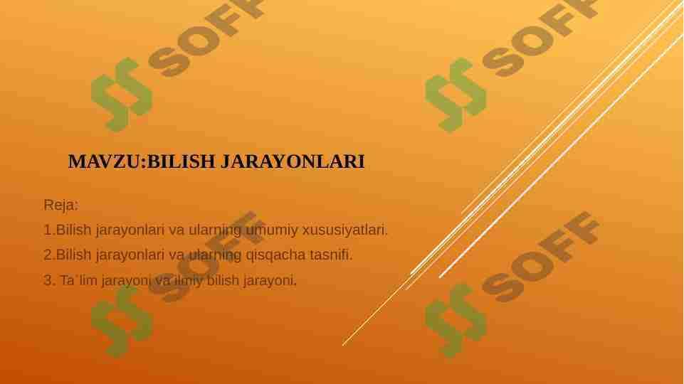 bilish jarayonlari
