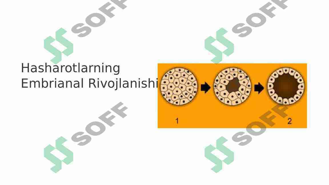 Hasharotlarning embrianal rivojlanishi