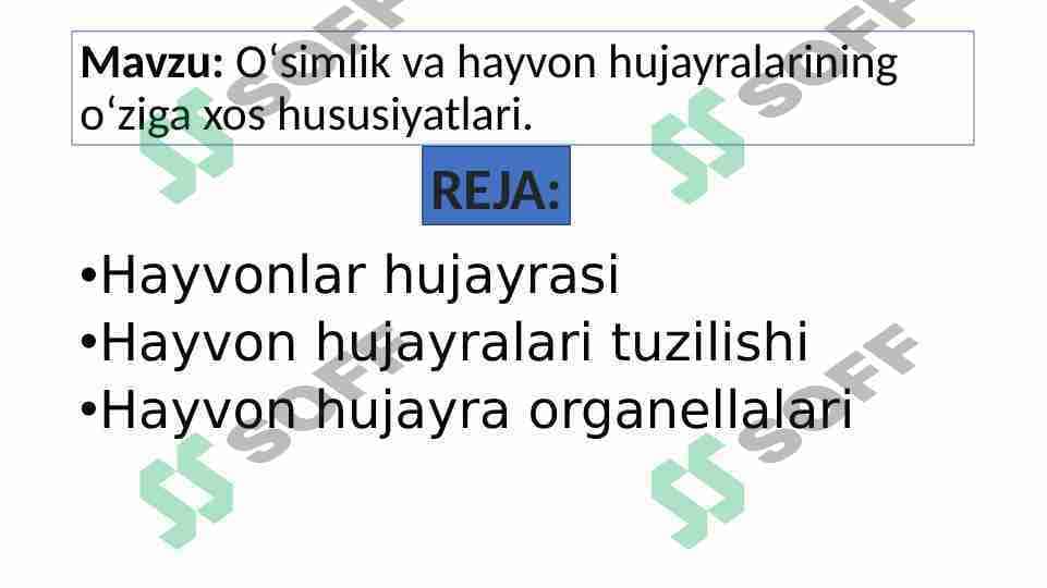 2-Oʻsimlik va hayvon hujayralarining oʻziga xos hususiyatlari