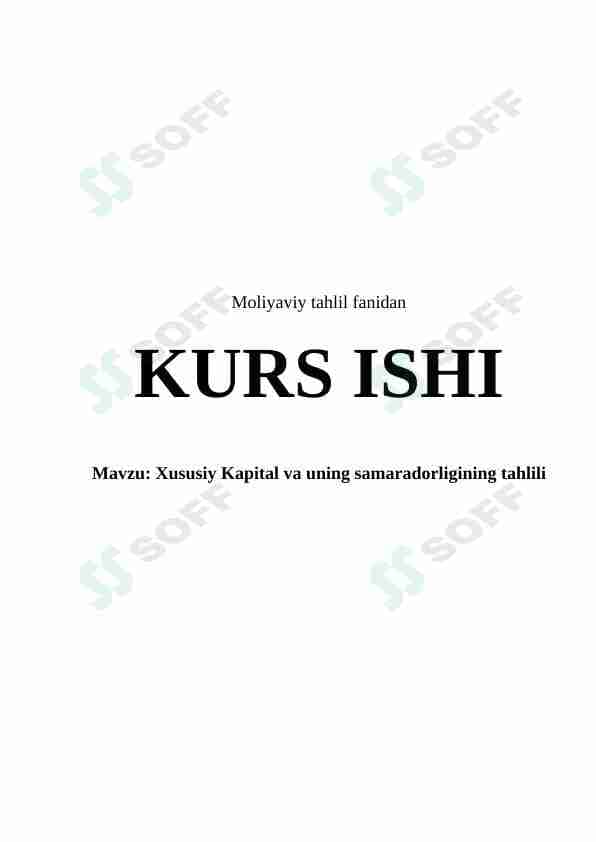 Xususiy kapital va uning samaradorligining tahlili