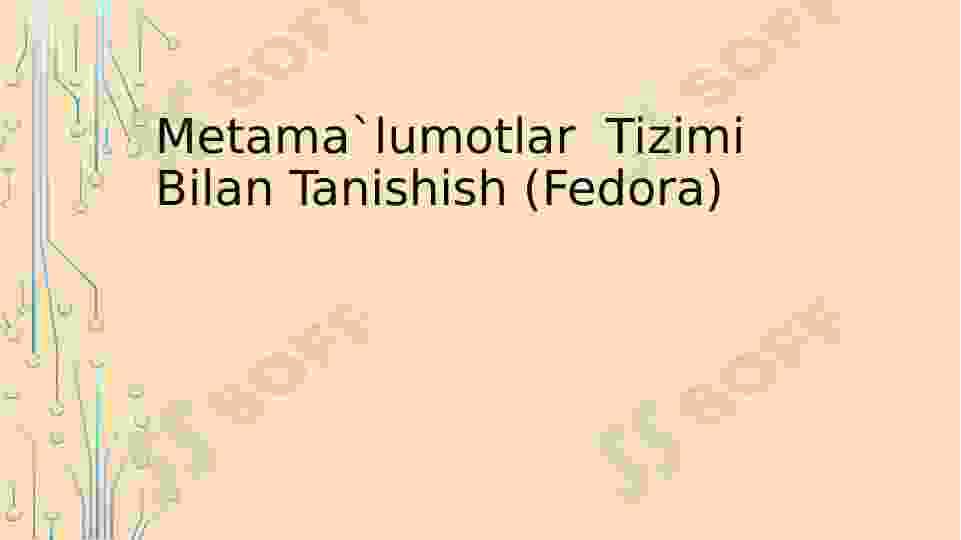 Metama`lumotlar Tizimi Bilan Tanishish (Fedora)