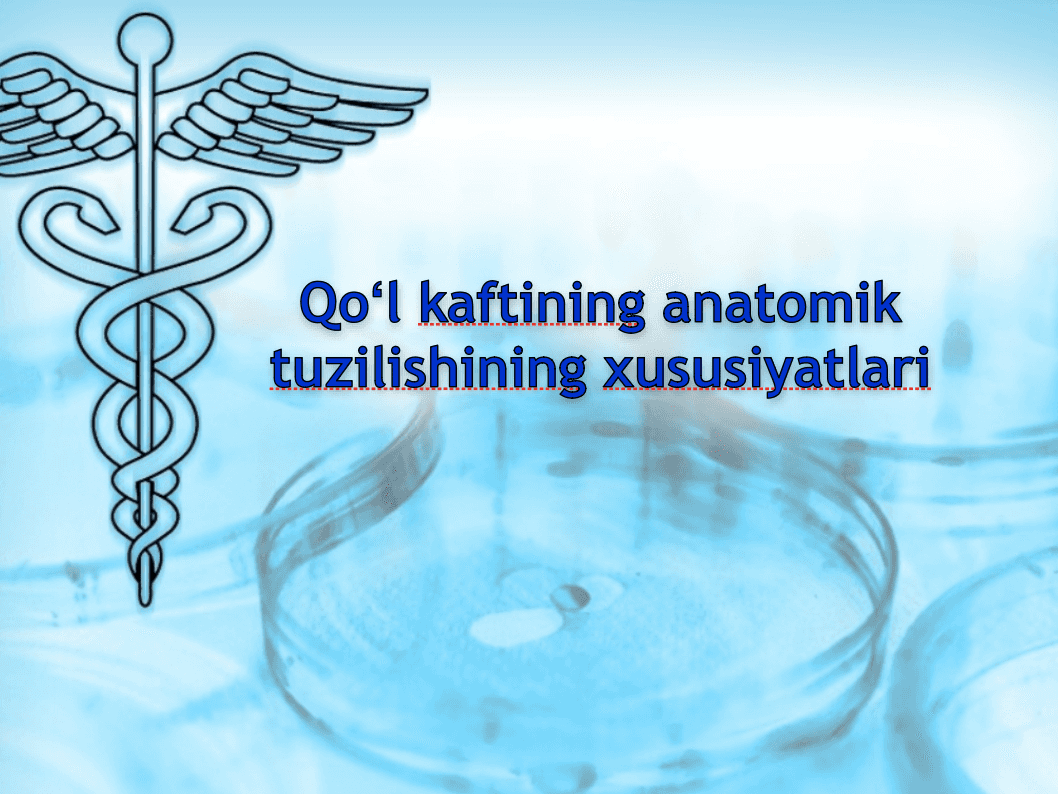 Qoʻl kaftining anatomik tuzilishining xususiyatlari