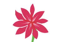 цветок гул gul coreldraw