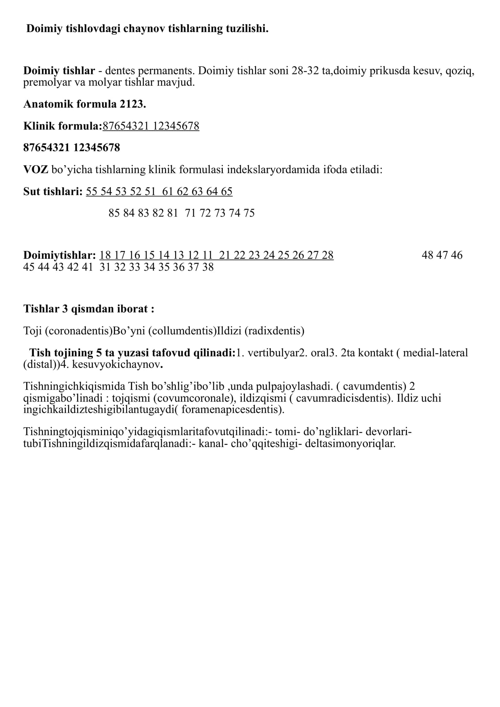 Doimiy tishlovdagi chaynov guruhi tishlarning tuzilishi