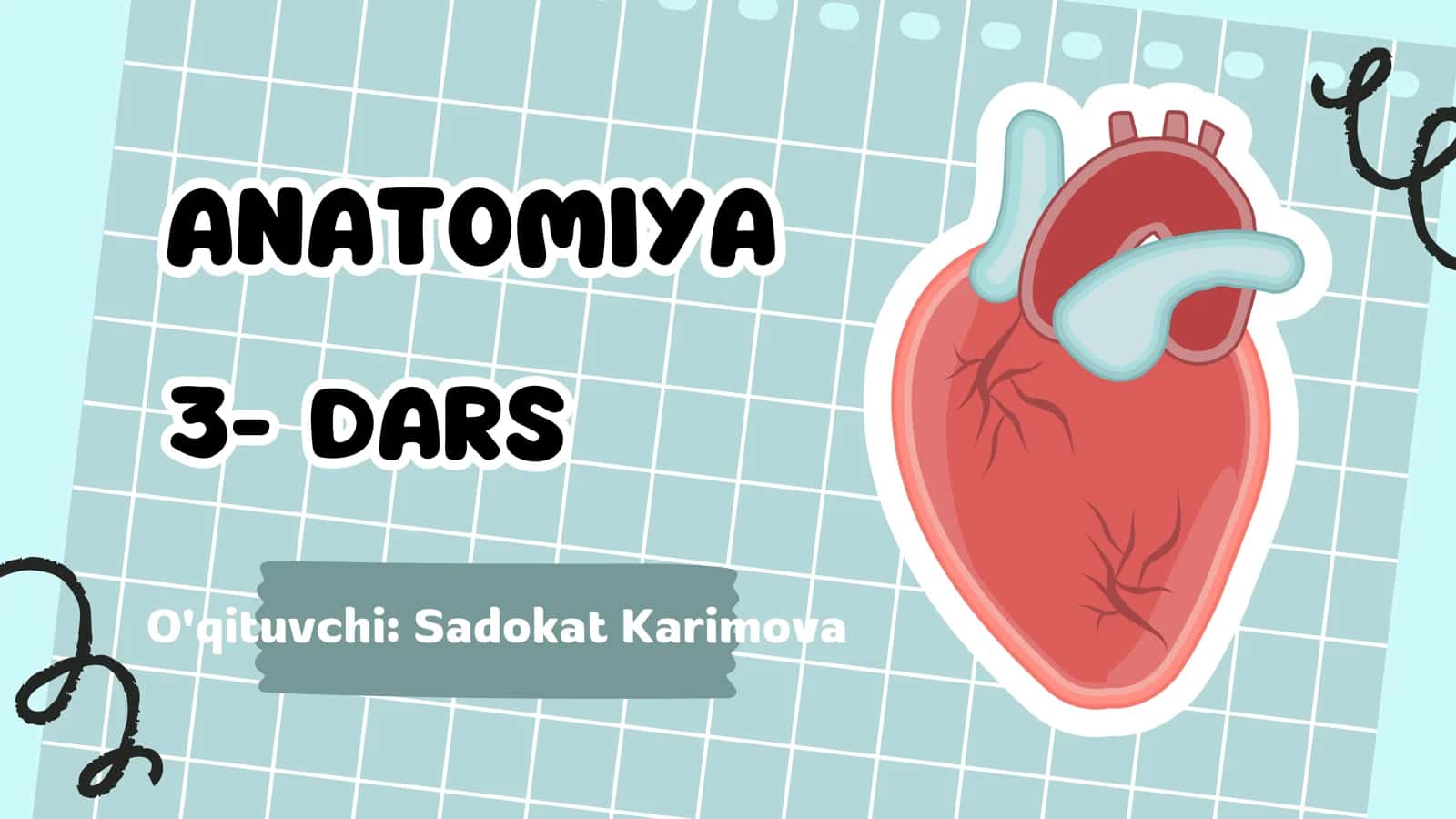 ANATOMIYA 3- DARS