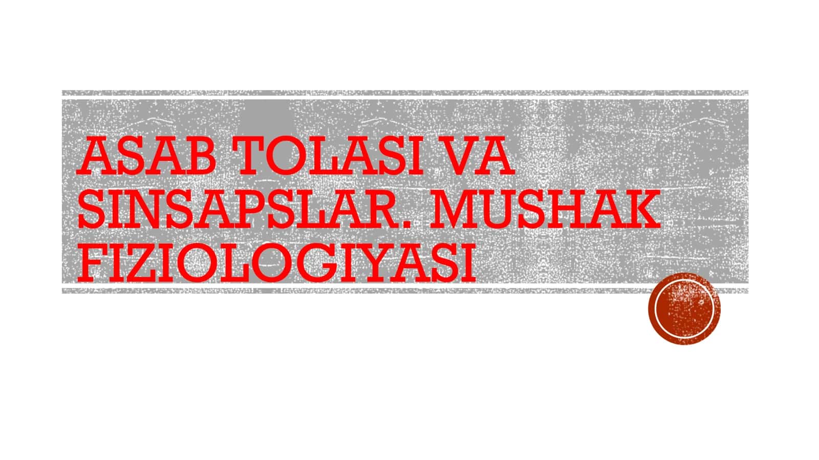 ASAB TOLASI VA SINSAPSLAR. MUSHAK FIZIOLOGIYASI