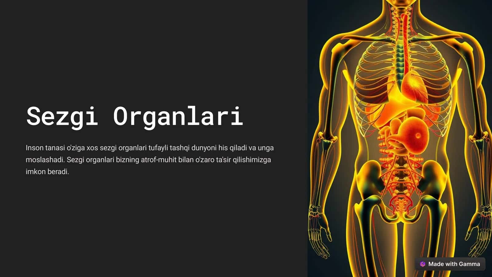 Sezgi Organlari
