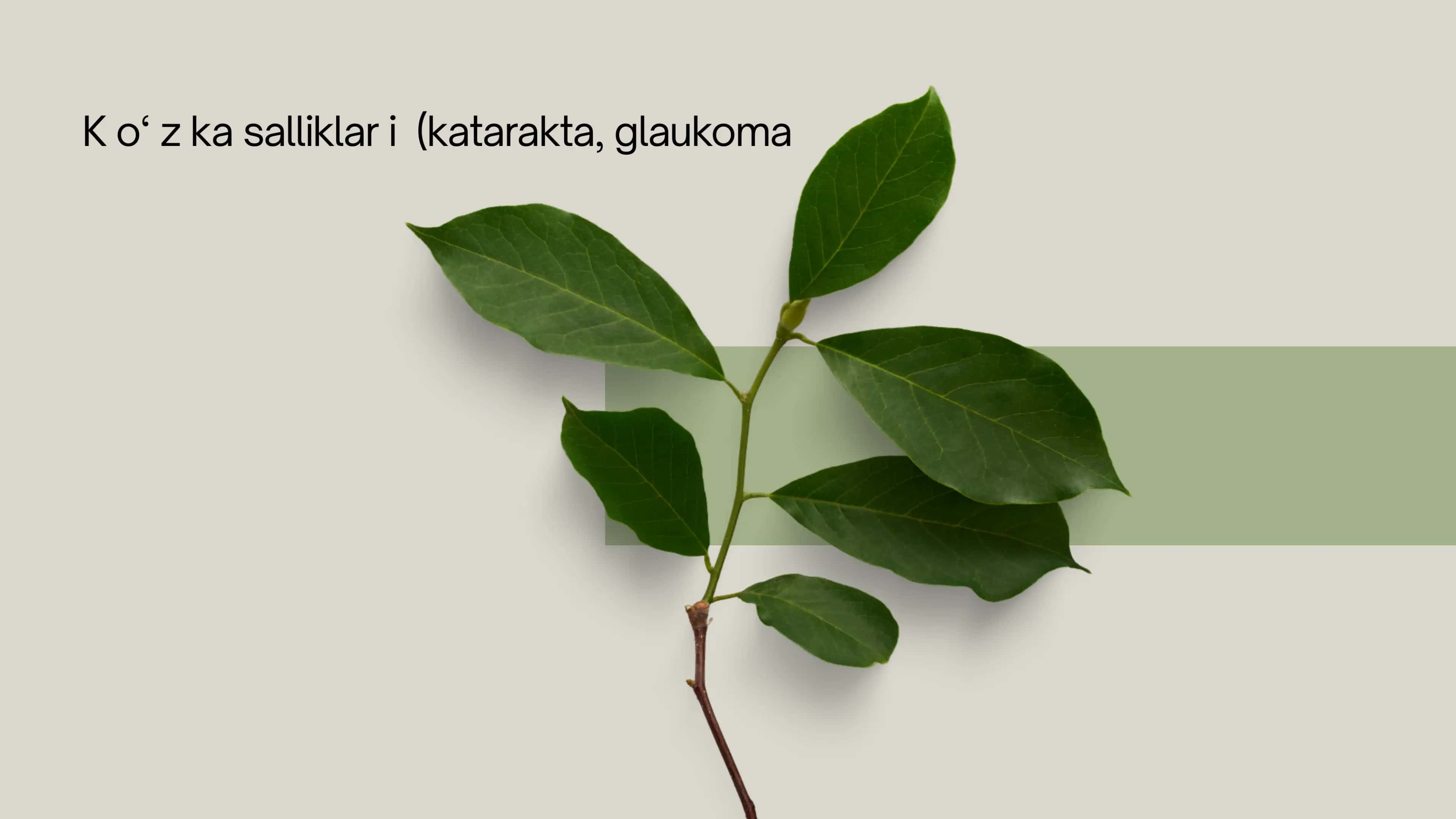 Ko‘z kasalliklari (katarakta, glaukoma)