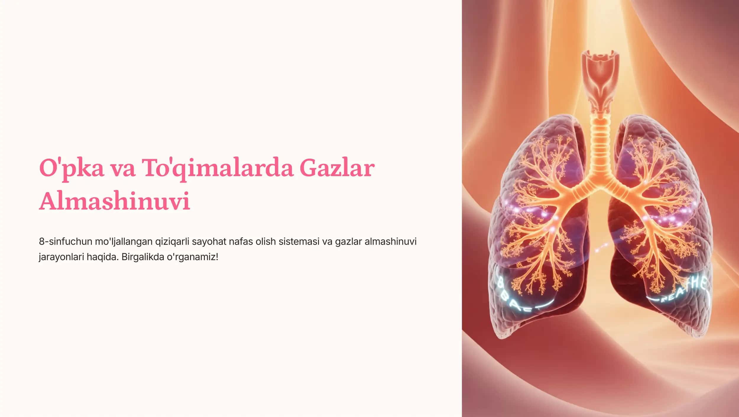 O'pka va To'qimalarda Gazlar Almashinuvi