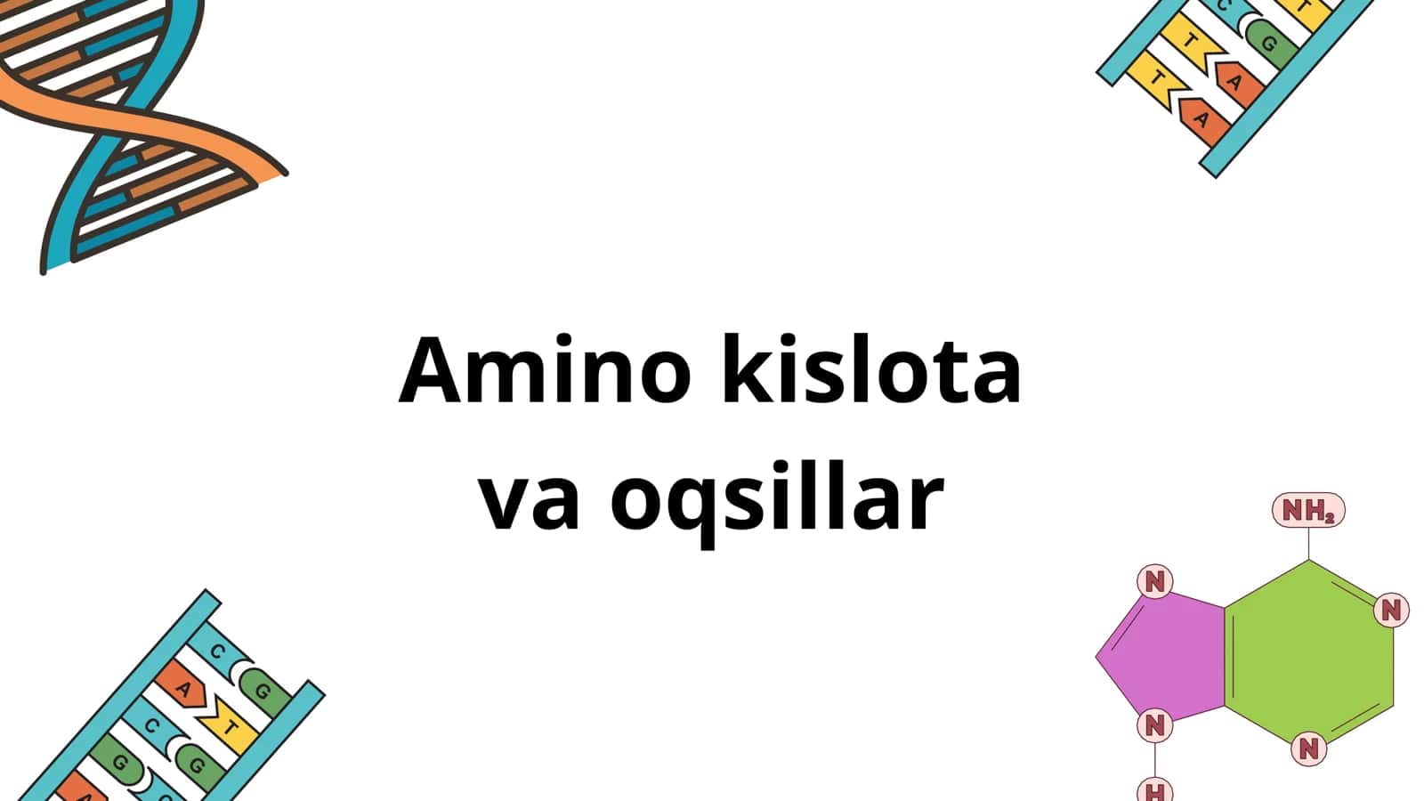 Amino kislota va oqsillar
