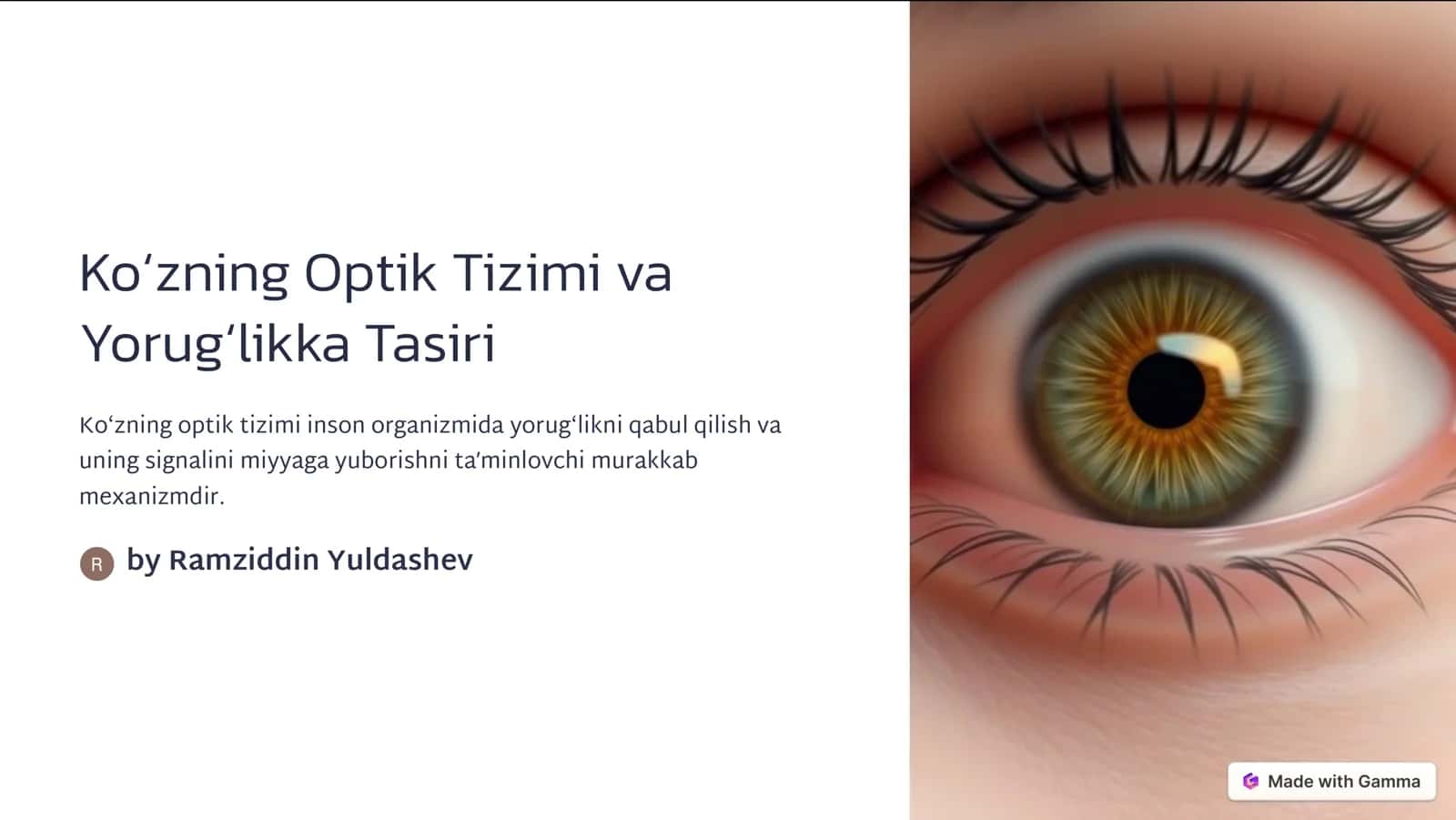 Koʻzning Optik Tizimi va Yorugʻlikka Tasiri
