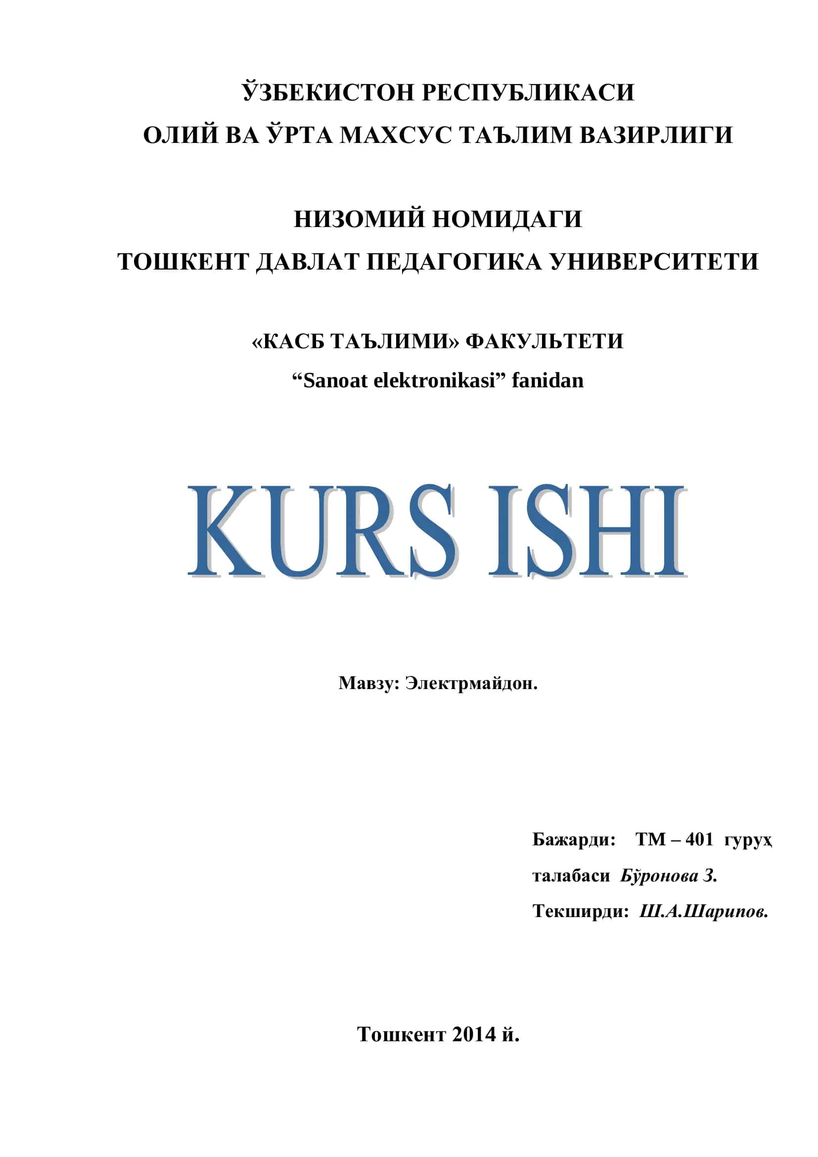 Электрмайдон