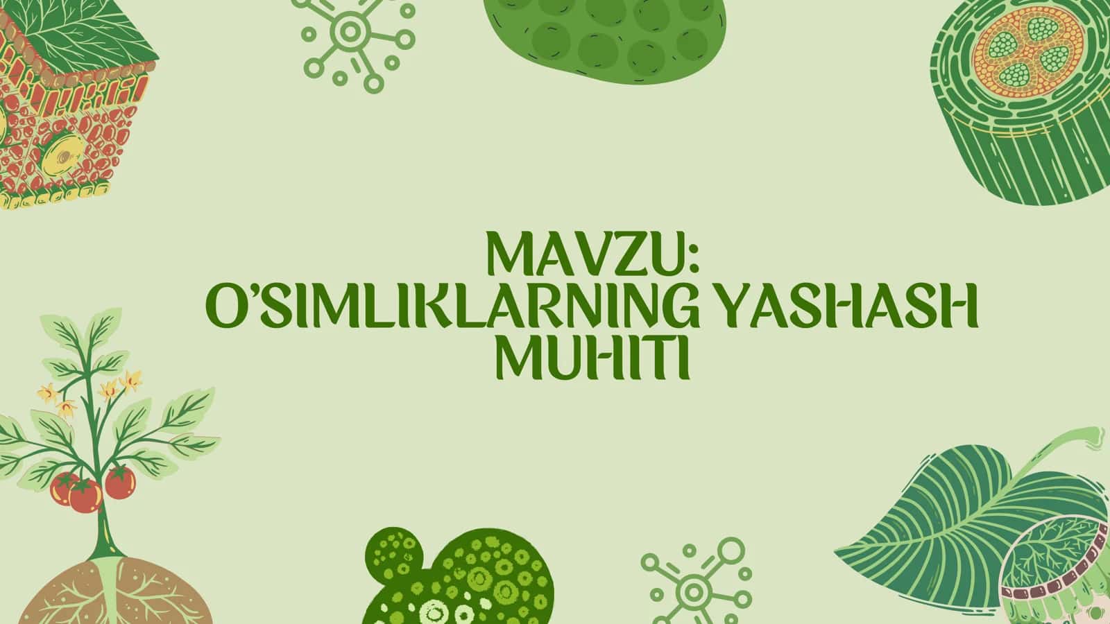 OʻSIMLIKLARNING YASHASH MUHITI