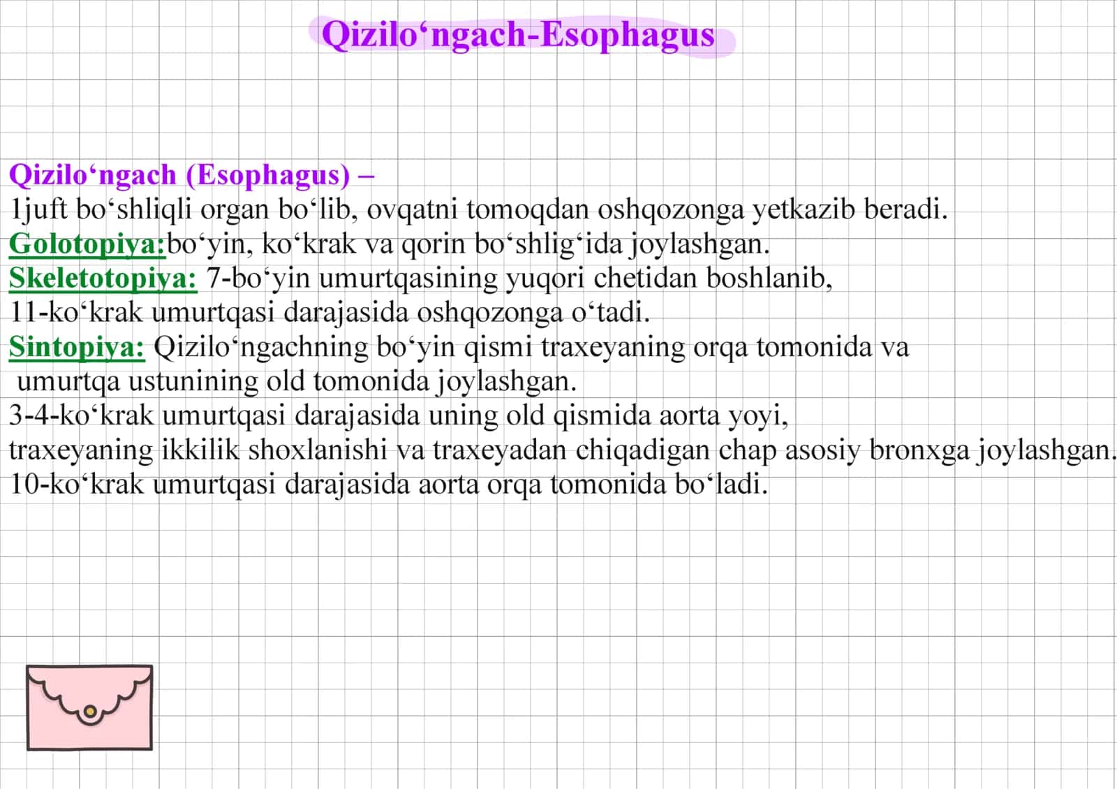 Qiziloʻngach, esophageus.
